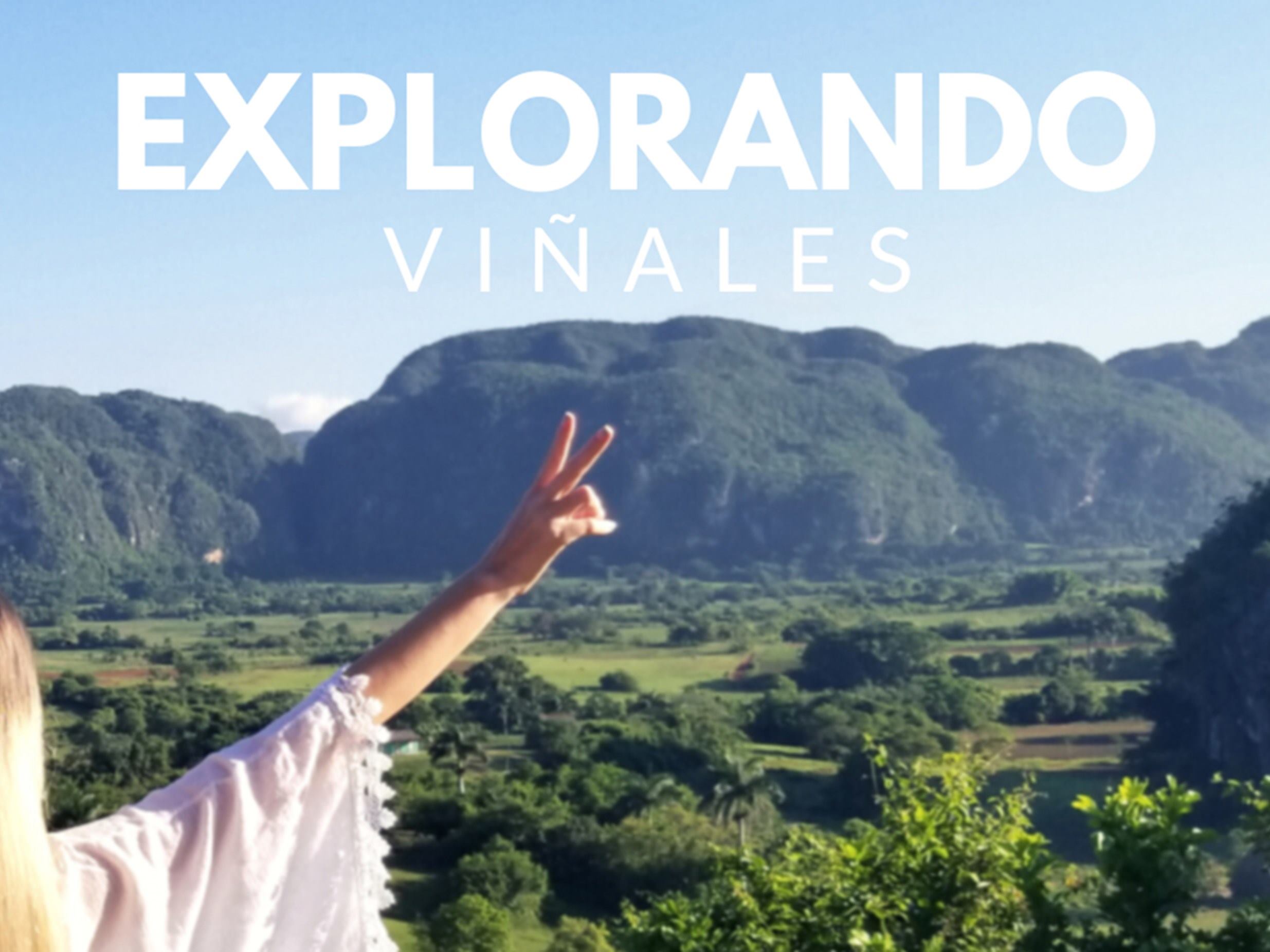 VINALES